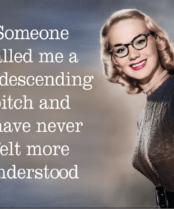 16" X 12 1/2" TIN SIGN SOMEONE CALLED ME A CONDESCENDING BITCH METAL SIGN NEW
