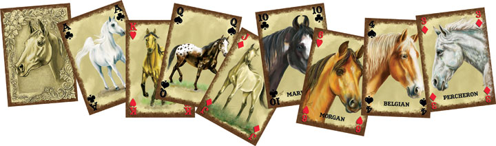 HORSE BREEDS OF THE WORLD ARTWORK HIGH QUALITY PLAYING CARDS NEW 