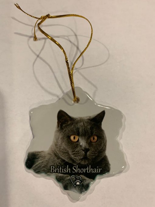 BRITISH SHORTHAIR CAT PORCELAIN CHRISTMAS ORNAMENT NEW