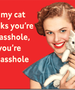 16" X 12 1/2" TIN SIGN IF MY CAT THINKS YOU'RE AN ASSHOLE METAL SIGN NEW