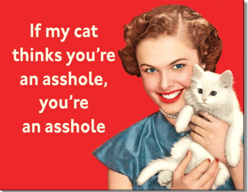 16" X 12 1/2" TIN SIGN IF MY CAT THINKS YOU'RE AN ASSHOLE METAL SIGN NEW