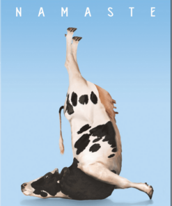 12" X 16 1/2" TIN SIGN NAMASTE YOGA COW METAL SIGN
