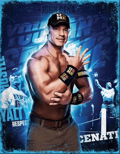 12 1/2" x 16" TIN SIGN WWE JOHN CENA METAL SIGN NEW