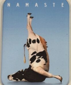 NAMASTE COW MAGNET 2.5” X 3.5” ROUNDED CORNERS NEW