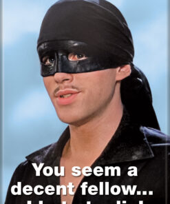 PRINCESS BRIDE YOU SEEM A DECENT FELLOW ATA-BOY MAGNET 2.5” X 3.5” NEW
