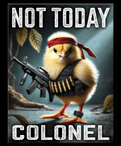 8 1/4" X 10 3/4" TIN SIGN NOT TODAY COLONEL METAL SIGN NEW