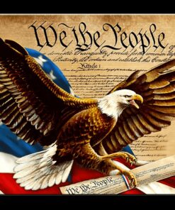 10 3/4" X 8 1/4"  TIN SIGN WE THE PEOPLE AMERICAN EAGLE METAL SIGN NEW