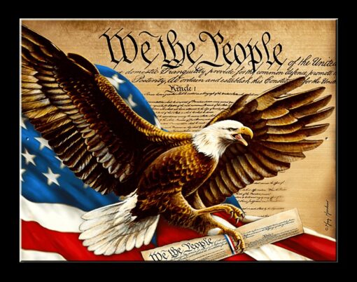 10 3/4" X 8 1/4"  TIN SIGN WE THE PEOPLE AMERICAN EAGLE METAL SIGN NEW