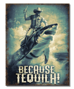 12 1/2" X 16" TIN SIGN BECAUSE TEQUILA! METAL SIGN NEW