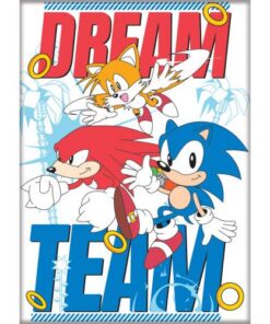 SONIC THE HEDGEHOG DREAM TEAM ATA-BOY MAGNET 2.5” X 3.5” NEW