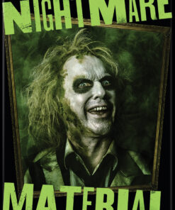 BEETLEJUICE BEETLEJUICE 2 NIGHTMARE MATERIAL  ATA-BOY MAGNET  2.5” X 3.5” NEW