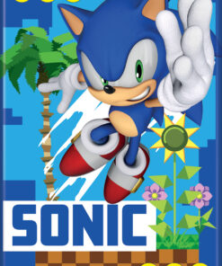 SONIC THE HEDGEHOG CG GRAPHIC ATA-BOY MAGNET 2.5” X 3.5” NEW