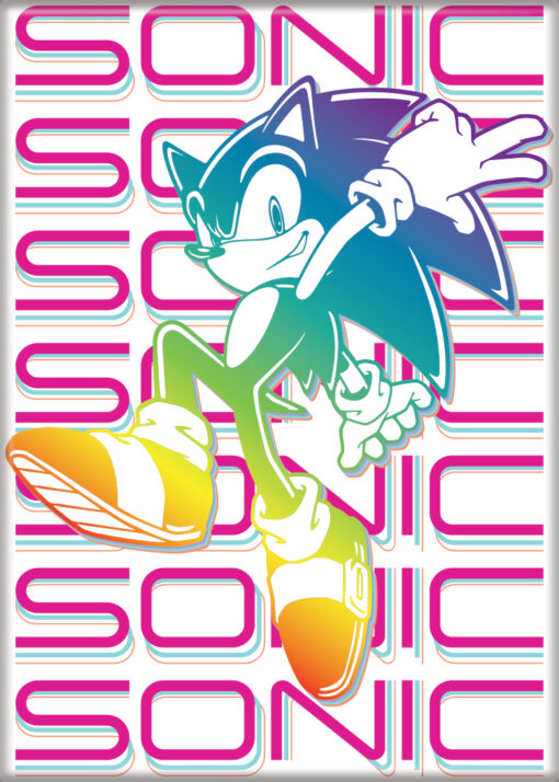 SONIC THE HEDGEHOG TECHNICOLOR  ATA-BOY MAGNET 2.5” X 3.5” NEW