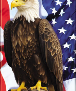 Ata-Boy US Flag & Bald Eagle 2.5" x 3.5" Magnet for Refrigerators