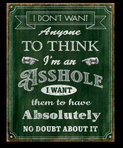 16" X 12 1/2" TIN SIGN I DO'T WANT ANYONE TO THINK I'M AN A**HOLE METAL SIGN NEW